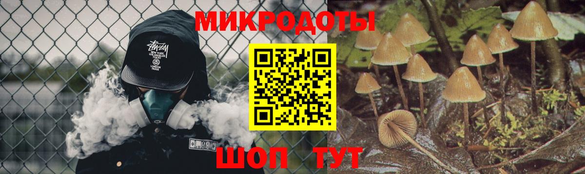 Псилоцибиновые грибы Psilocybe Ртищево